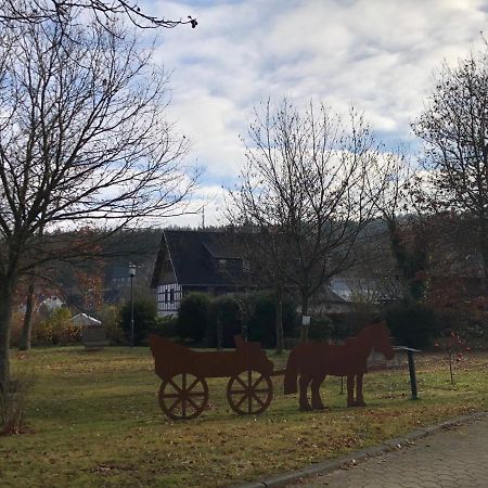 Fennies Huette Villa Medebach Eksteriør billede